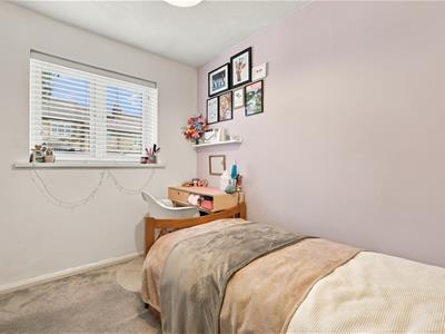 Picture 14